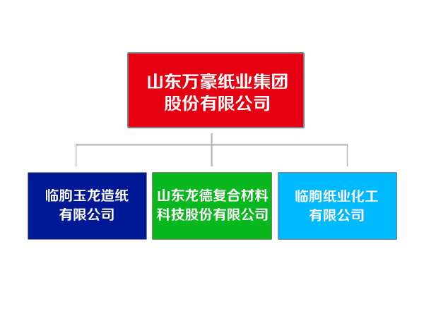 山东pg电子模拟器纸业集团.jpg